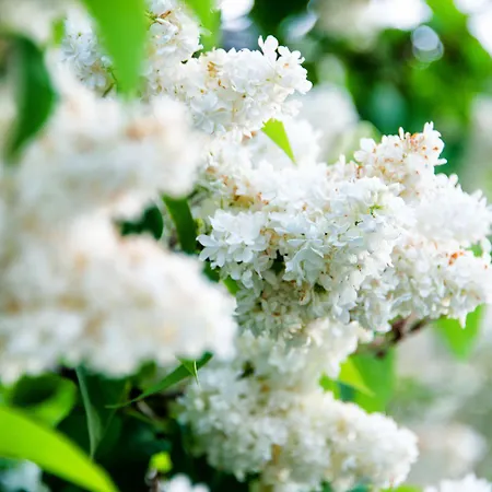 Nouvel Du Commerce Ξενοδοχείο Castellane