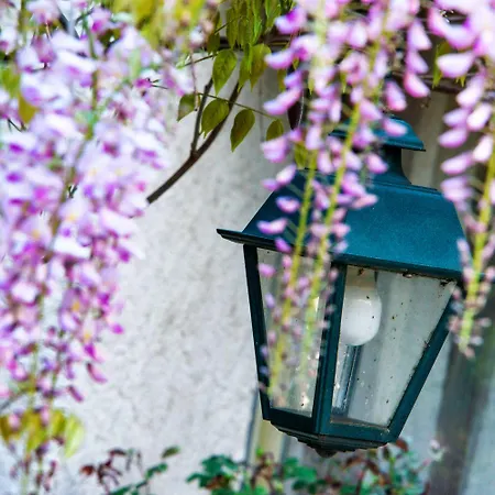 Nouvel Du Commerce Hotel Castellane