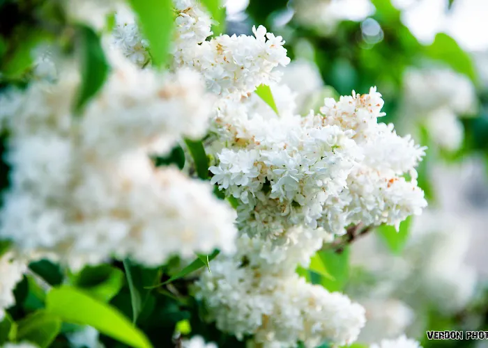 Nouvel Du Commerce Hotel Castellane